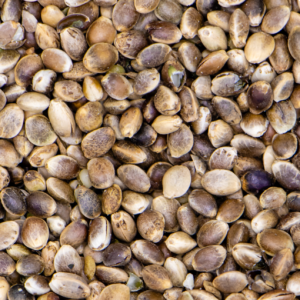 Cañamon , potenciador del celo