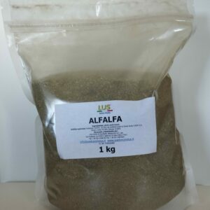 Herba Medica Lus . ( Alfalfa)