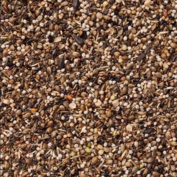 Deli Nature nº 97 . Carduelis parva y major . Invierno o zonas frias