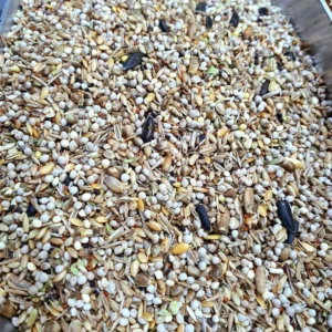 Mixtura Carduelis. Herb bird Mix
