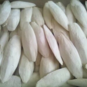 Hueso de Jibia . Bolsa 250 gr (6-10 unid) Fuente natural de Calcio y Fosforo