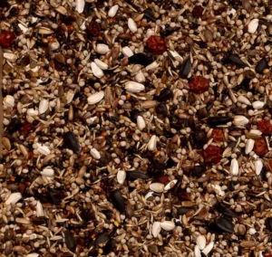 Deli Nature nº 96. Camachuelos