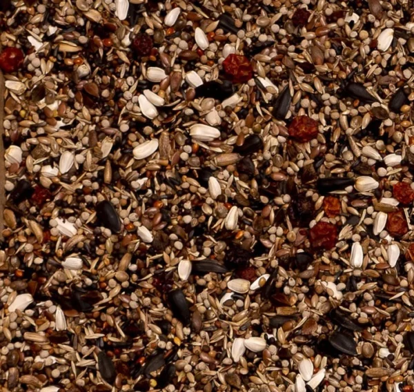 Deli Nature nº 96. Camachuelos
