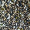 Deli Nature nº 38.  Mixtura germinar  Fauna Europea  "Especial Jilgueros"