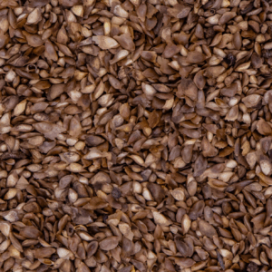 Alerce/ Cipres. Ideal para luganos y pardillos sicerines