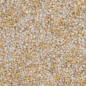 Quinoa Blanca . Semilla rica en aminoacidos y 16 % proteina