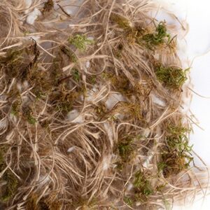 Yute ,algodon y musgo(Sisal Fibre)  Ideal para Fauna europea: jilgueros, sicerines....