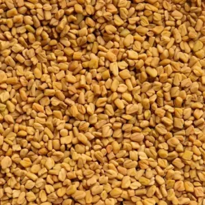 Alholva o Fenogreco.  Semilla con multiples propiedades catalogada como un superalimento con alto contenido en proteinas