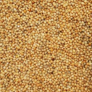 Mijo amarillo. Ideal para periquitos, diamantes de gould,agapornis, ninfas y pequeñas cotorras