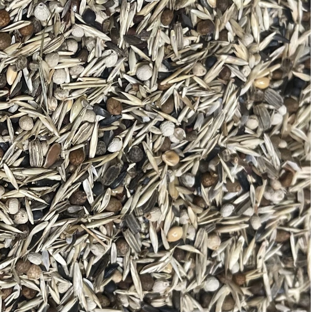 American Siskins Excellent Bird Supreme. Perfecta mezcla para spinus americanos:cardenalitos, negritos, xanthogastras..