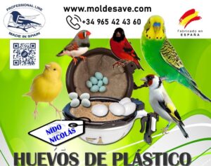 Pack de 36 huevos plastico : Diferentes tamaños y colores: Cardenalito/jilguero parva- Canarios