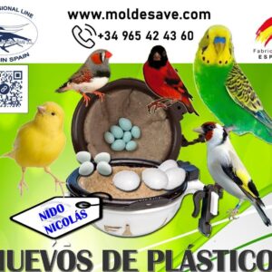 Pack de 36 huevos plastico : Diferentes tamaños y colores: Cardenalito/jilguero parva- Canarios