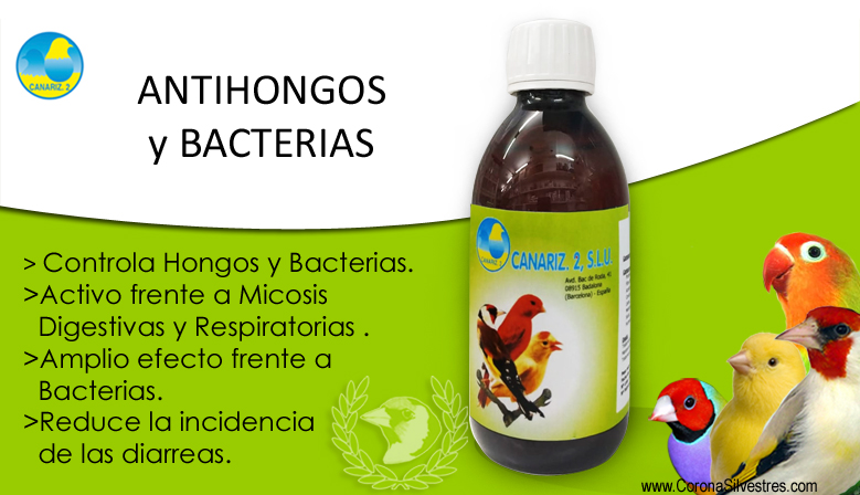 Antihongos y bacterias. Canariz. Aqua Shield Puliziia. - Imagen 2