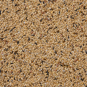 Deli Nature nº 65. Canarios Light. Muy baja en grasas, ideal para que no engorden los machos