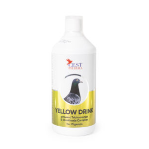Yellow Drink . Cest Pharma . Producto ideal para la desinfecion y el control de enfermedades causadas por hongos, bacterias y virus
