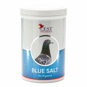 Blue Salt. Cest Pharma. 1 kg. Contiene Magnesio. Ayuda a relajar la musculatura, mejora el rendimiento deportivo.