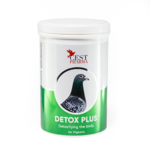 Detox Plus 600 gr. Cesth Pharma. Con propiedades antiinflamatorias, antisepticas, antimicrobianas y antiparasitarias