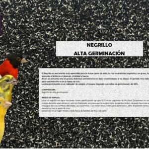Negrillo Alta Germinacion Dival.  Ideal para estimular el embuche en las hembras. Rico en proteinas
