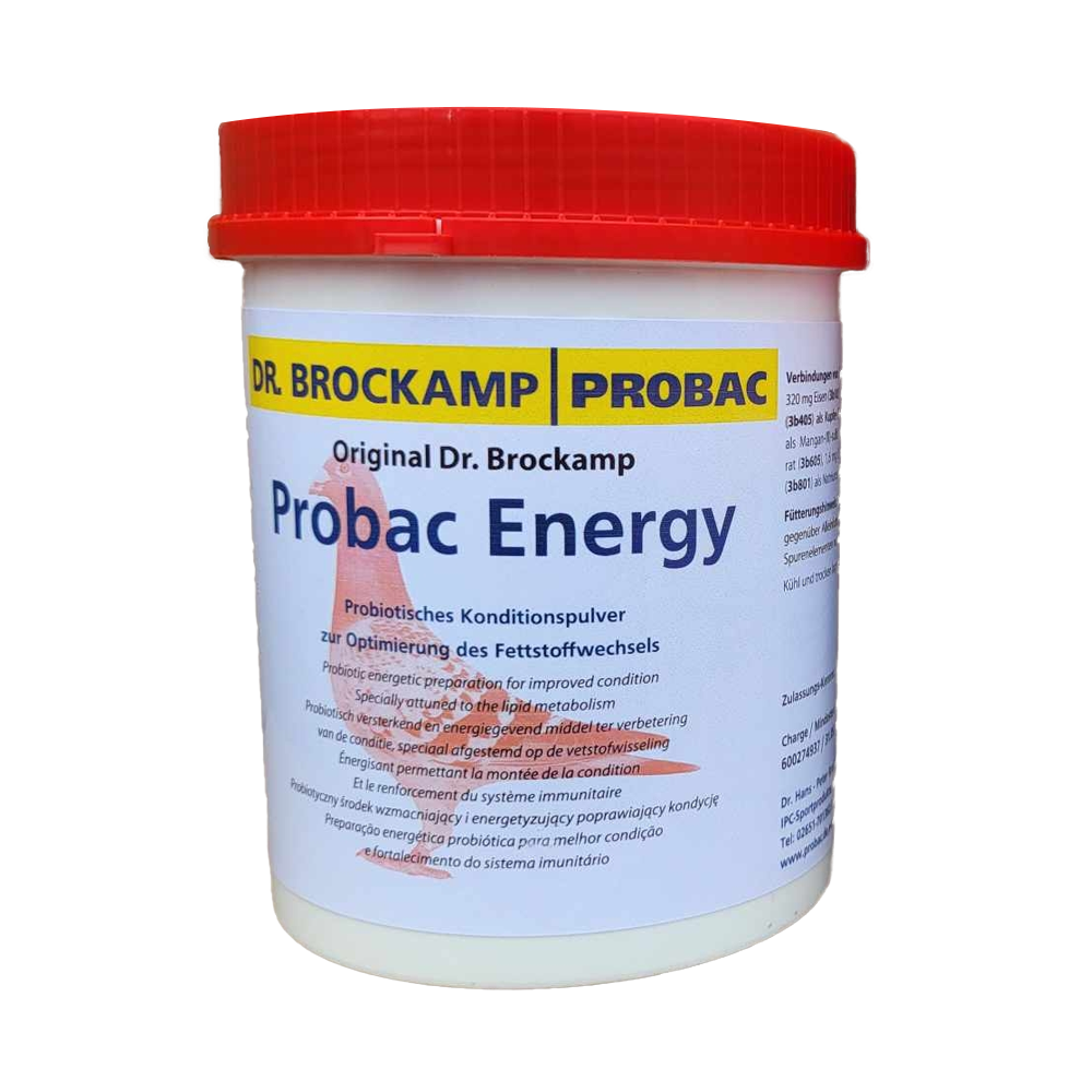 Probac 1000 Energy. Dr Brockamp. Ideal para mejorar la recuperacion despues de competiciones con un extra de energia