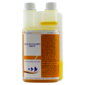 Multivitamin Syrup Tollisan 500 ml. Multivitamico rico en metionina y lisina.