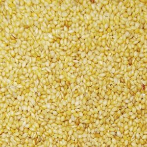 Paniset- Panizo en semilla. Semilla muy digestiva con propiedades nutricionales similares al alpiste