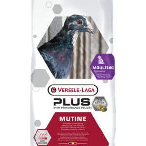 Mutine Plus. Versele Laga. Mixtura para palomas mensajeras indicado para la muda