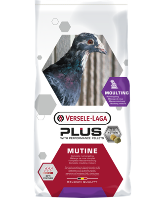 Mutine Plus. Versele Laga. Mixtura para palomas mensajeras indicado para la muda